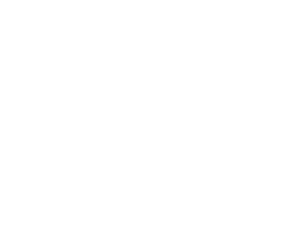 REMENICA; XDC 150 HD;  125601554/0; NEVADA