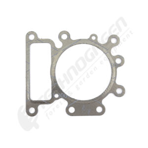 Dihtung glave motora; B&S 796584, INTEK 4175;